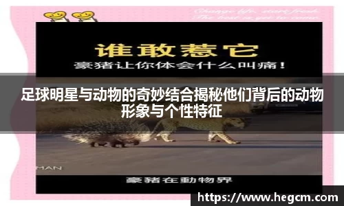 足球明星与动物的奇妙结合揭秘他们背后的动物形象与个性特征